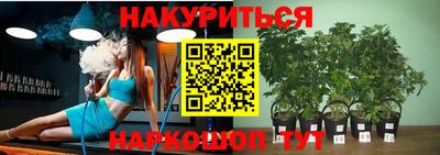прущие крисы Дубна