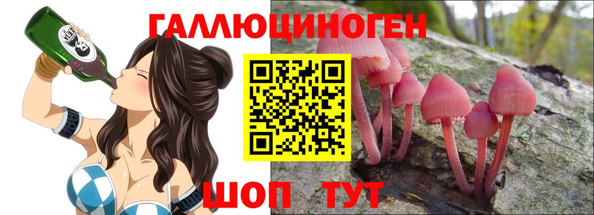 Галлюциногенные грибы прущие грибы  Вход с VPN  Михайловка 