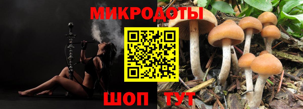 Псилоцибиновые грибы Magic Shrooms Михайловка