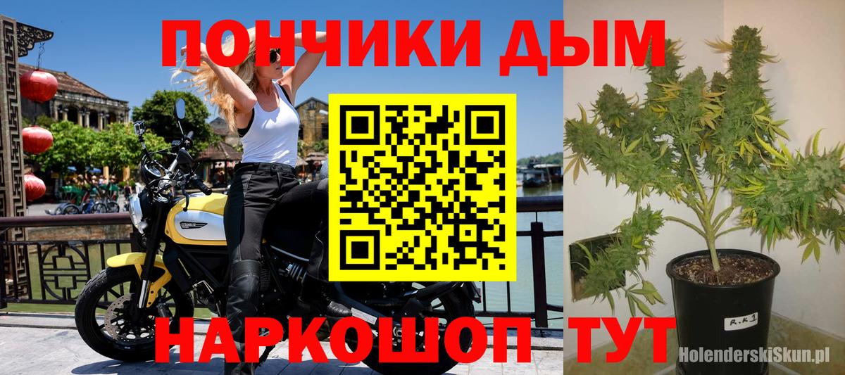 Бошки марихуана LSD WEED Михайловка